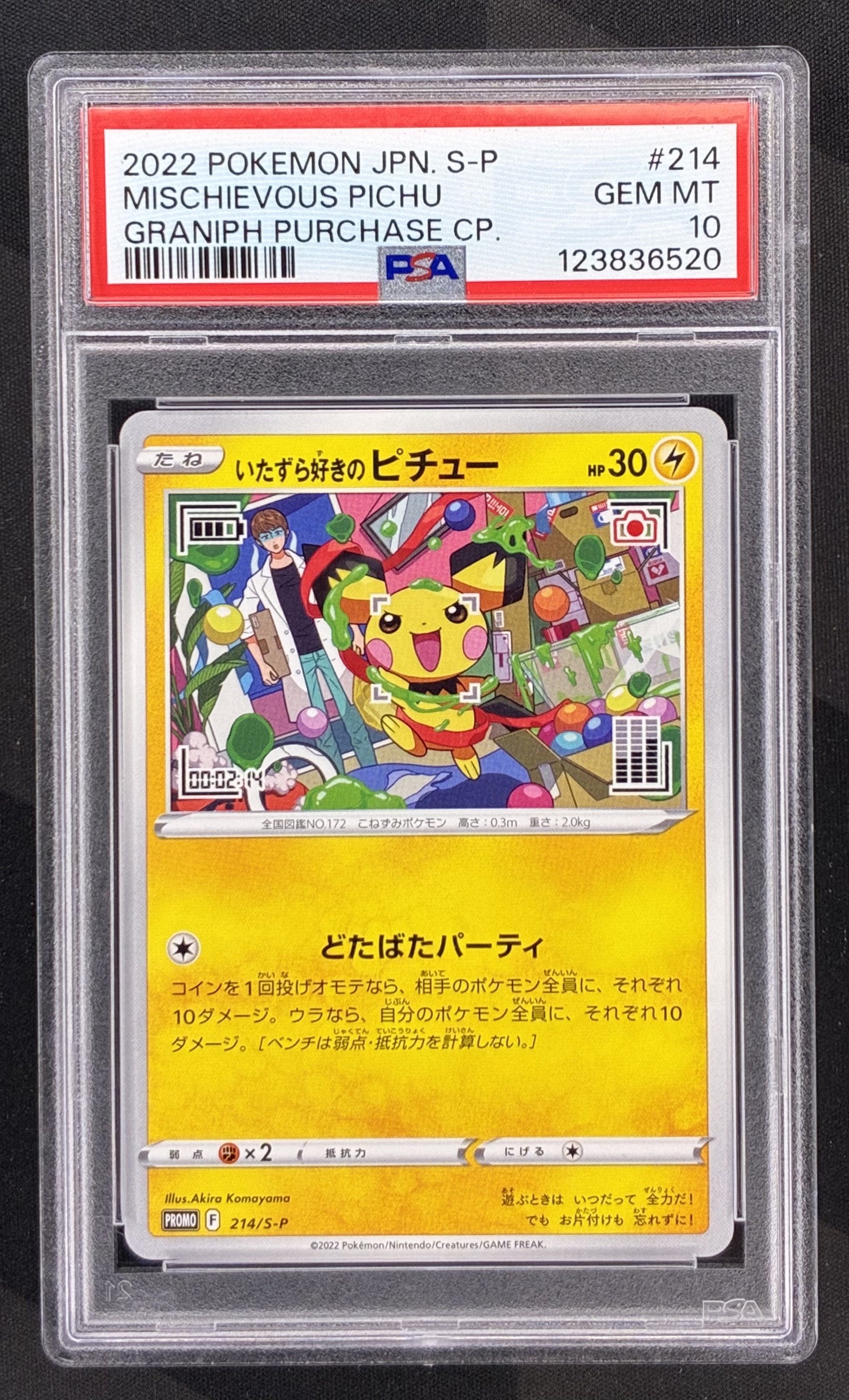 2022 Pokémon Japanese Mischievous Pichu 214/S-P Graniph Purchase Promo PSA 10 Gem Mint