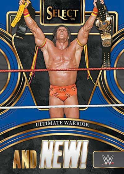 Break 530 - 2024 Panini Select WWE Hobby (Random Pack Break)