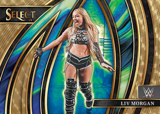 Break 530 - 2024 Panini Select WWE Hobby (Random Pack Break)