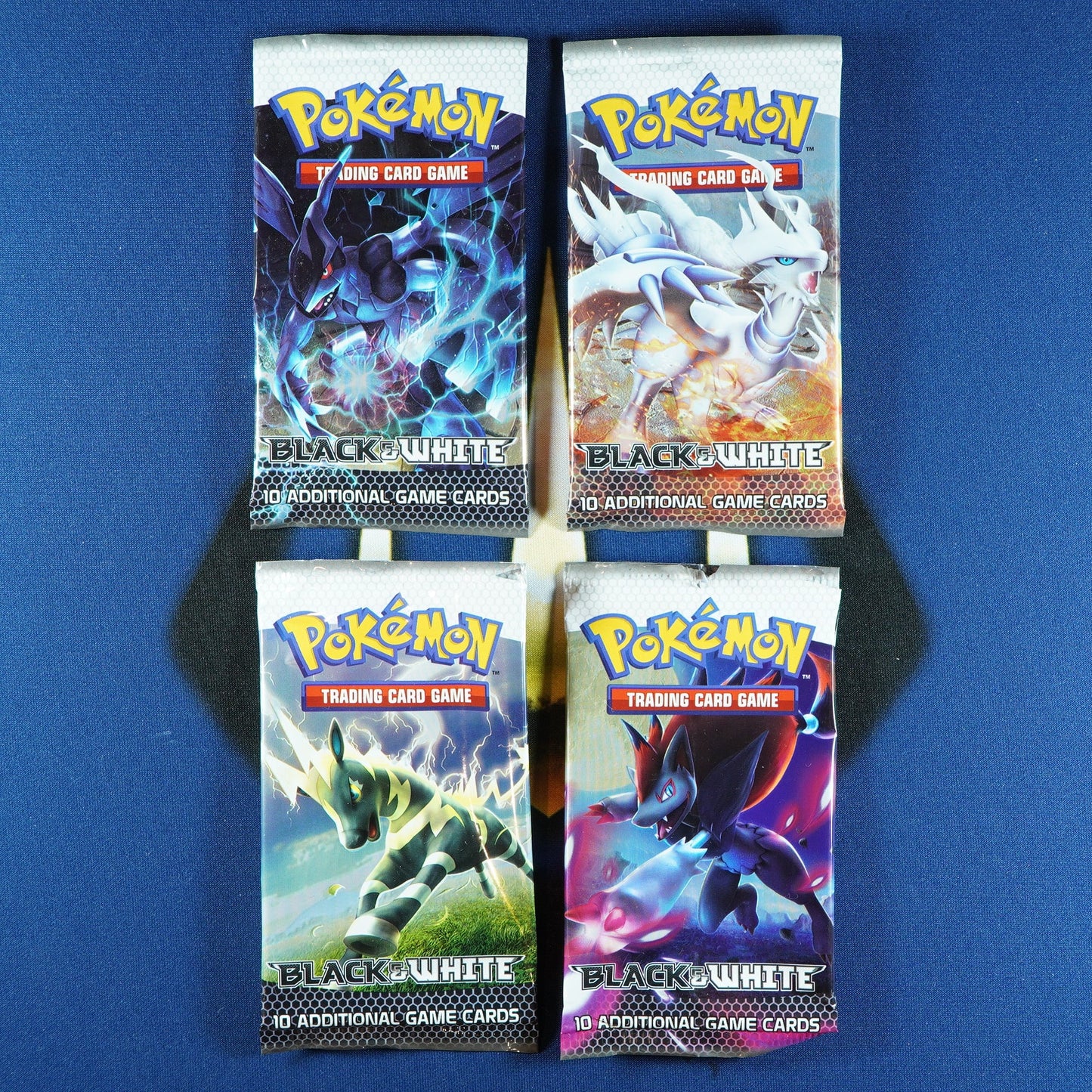 Pokemon Black and White Base Set booster pack sealed assorted artwork