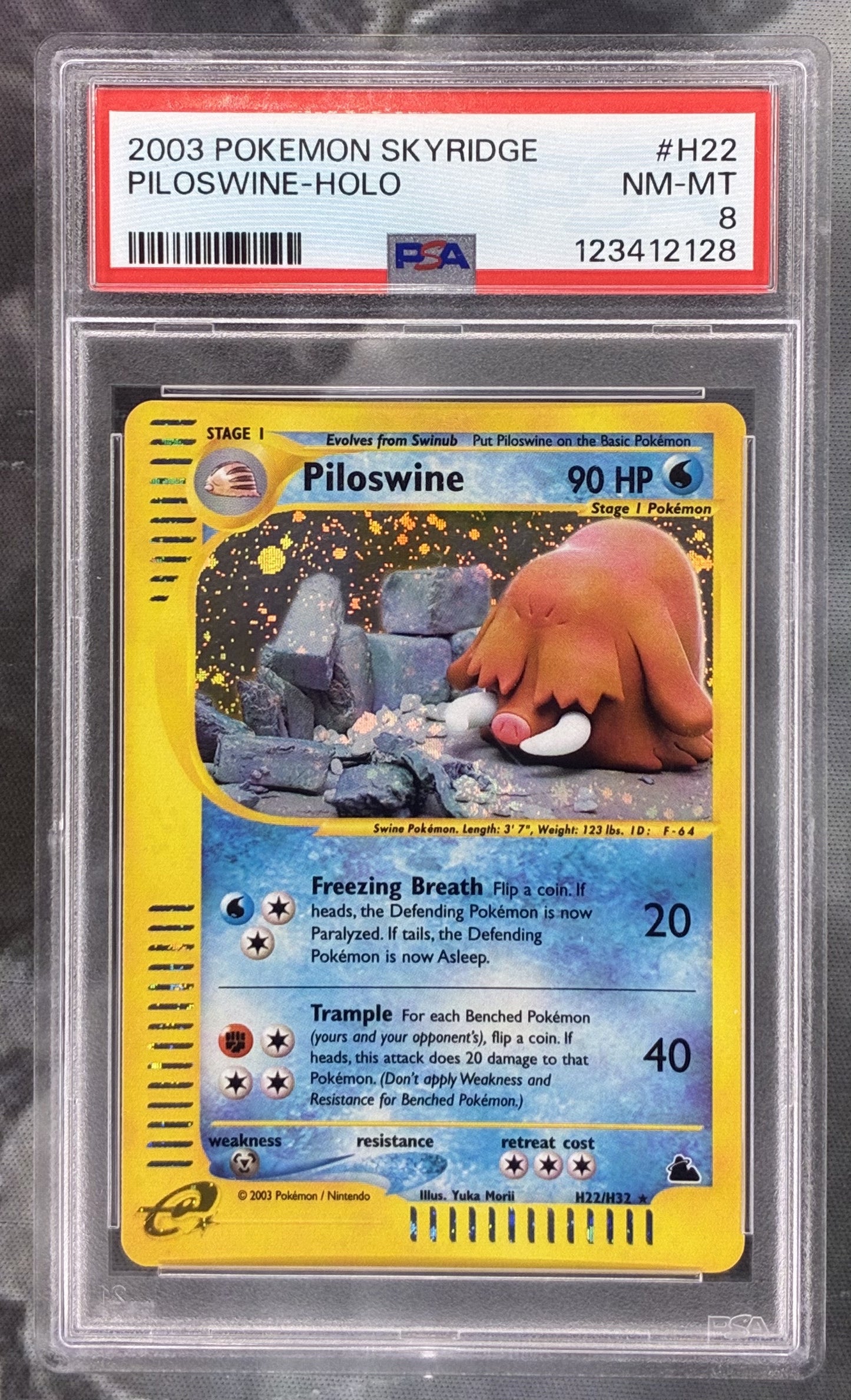 Pokémon Piloswine Holo H22/H32 Skyridge PSA 8 Near Mint–Mint