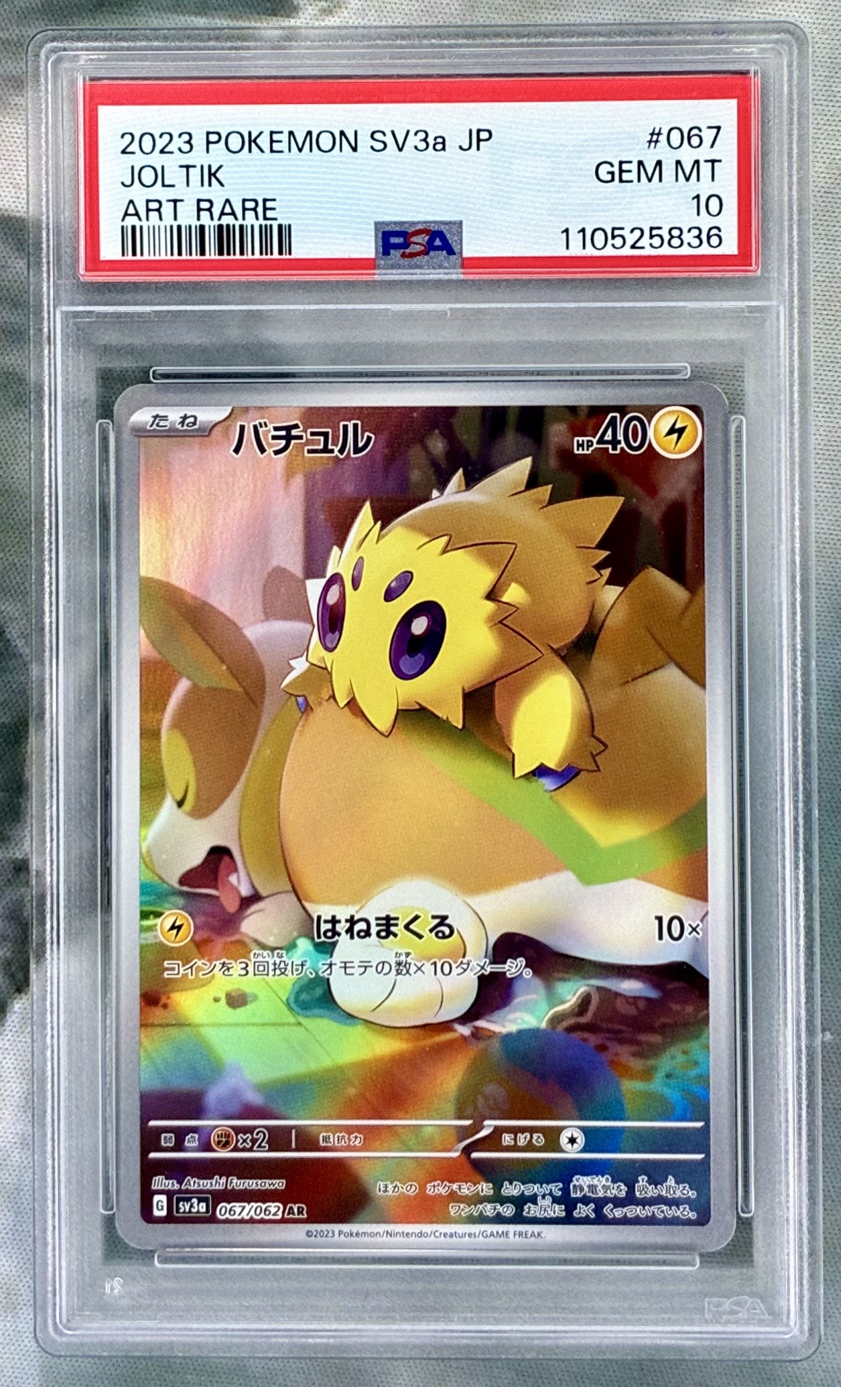 Joltik Raging Surf SV3a 067/062 Holo PSA 10 Japanese Pokemon card slab