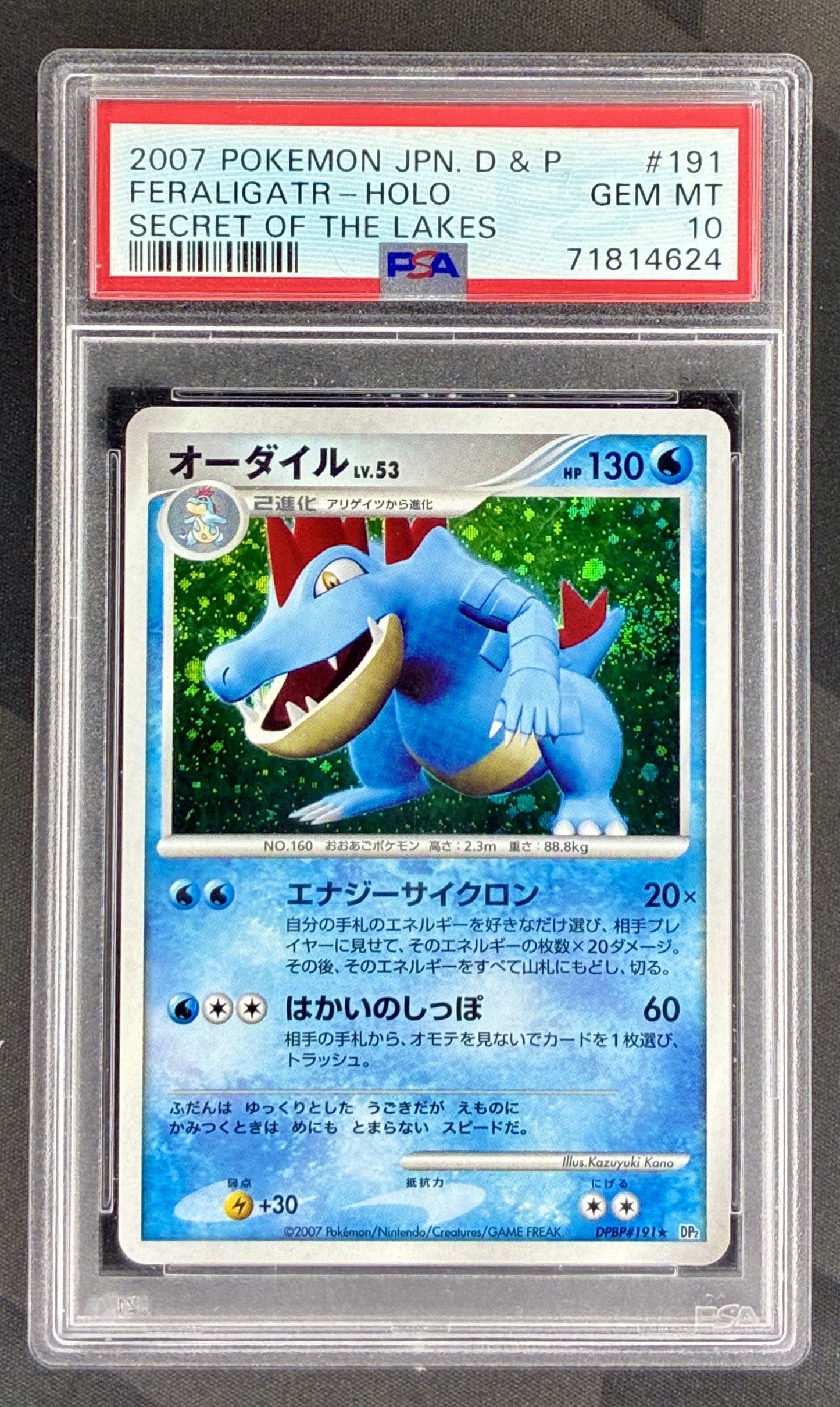 Feraligatr Holo – 2007 Pokémon Japanese Diamond & Pearl Secret of the Lakes – PSA 10 DPBP#191