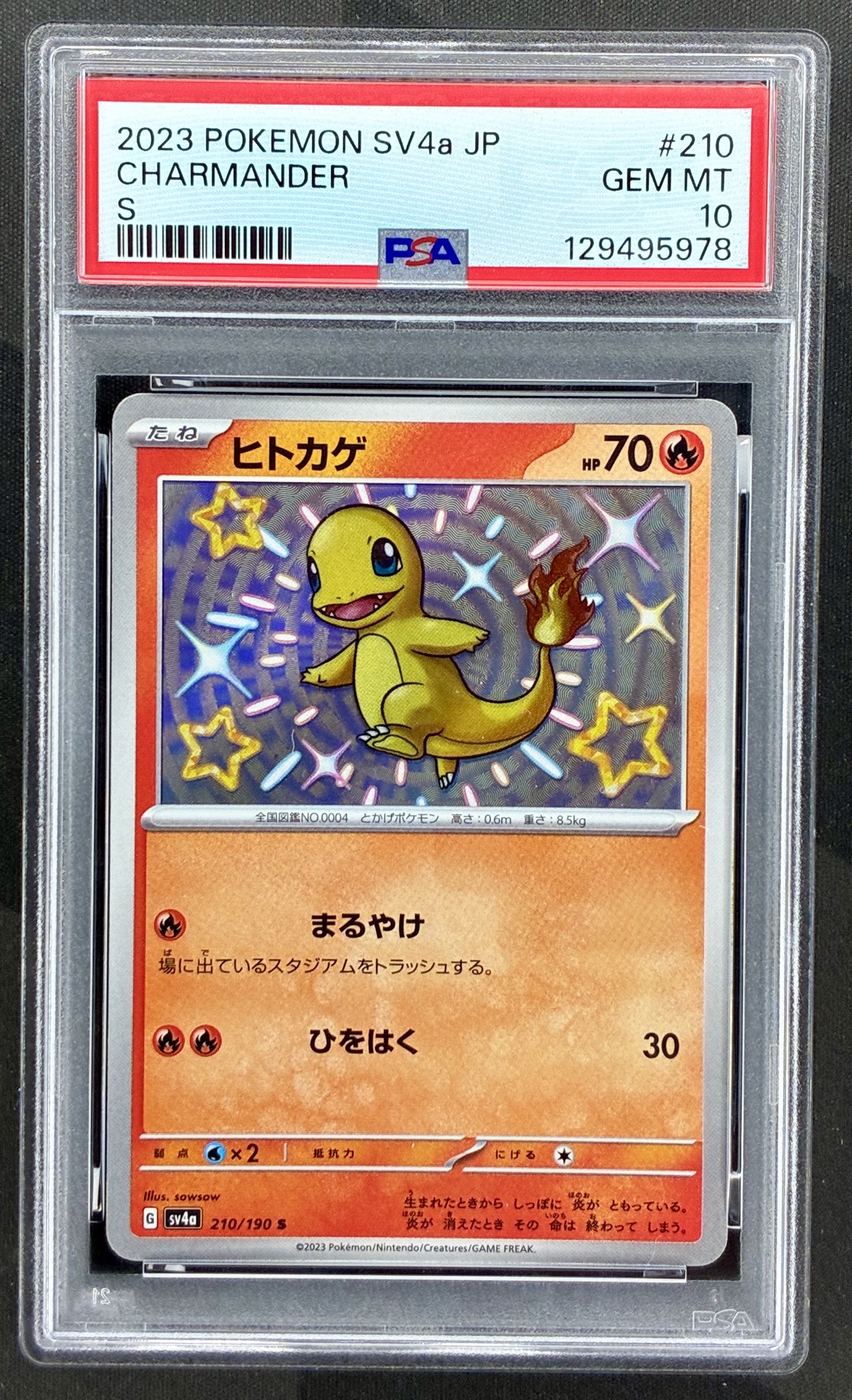Charmander 210/190 Shiny Treasure ex PSA 10 Japanese Pokemon card slab