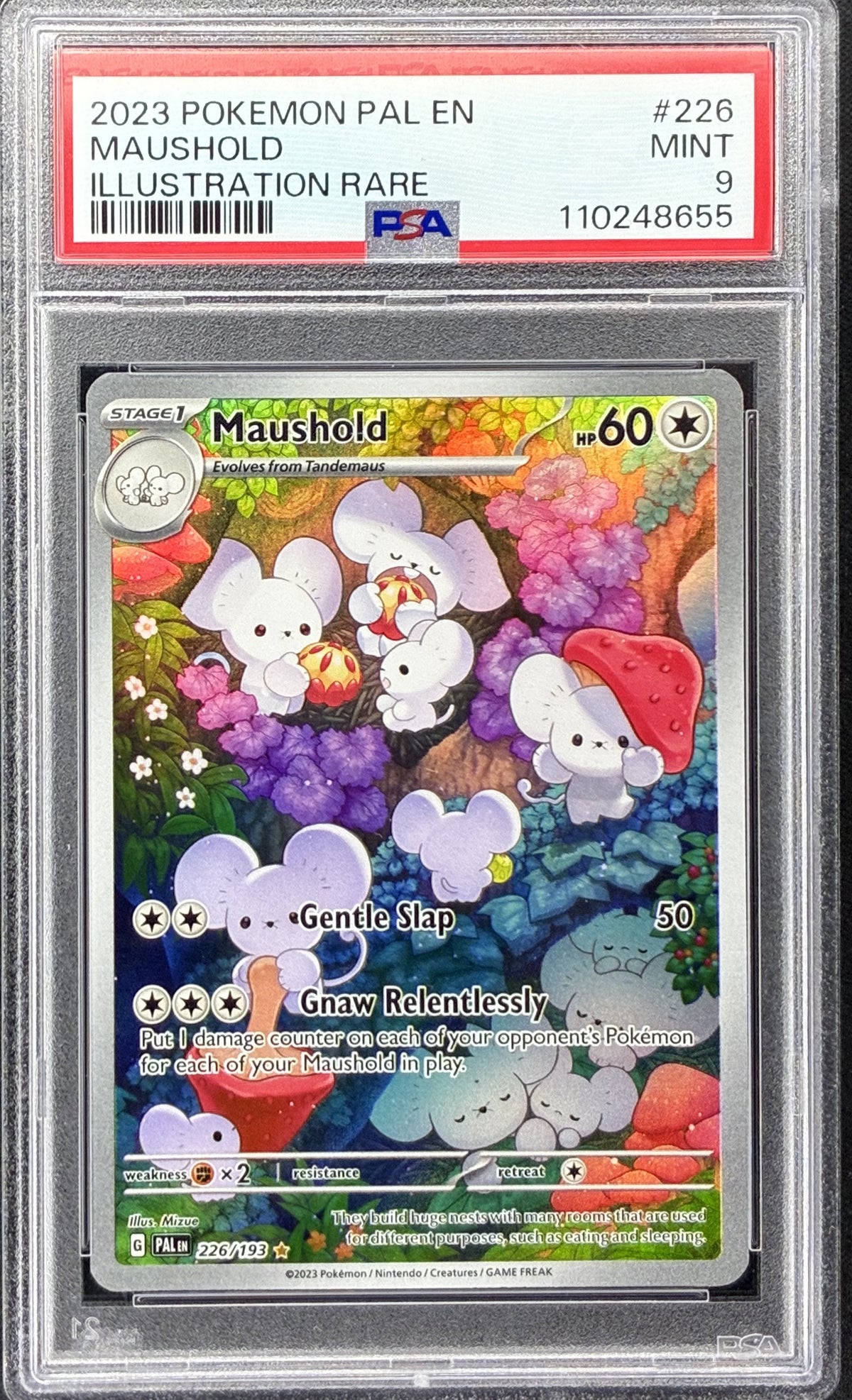 2023 Pokémon Paldea Evolved Maushold 226/193 Illustration Rare PSA 9 MINT graded card.