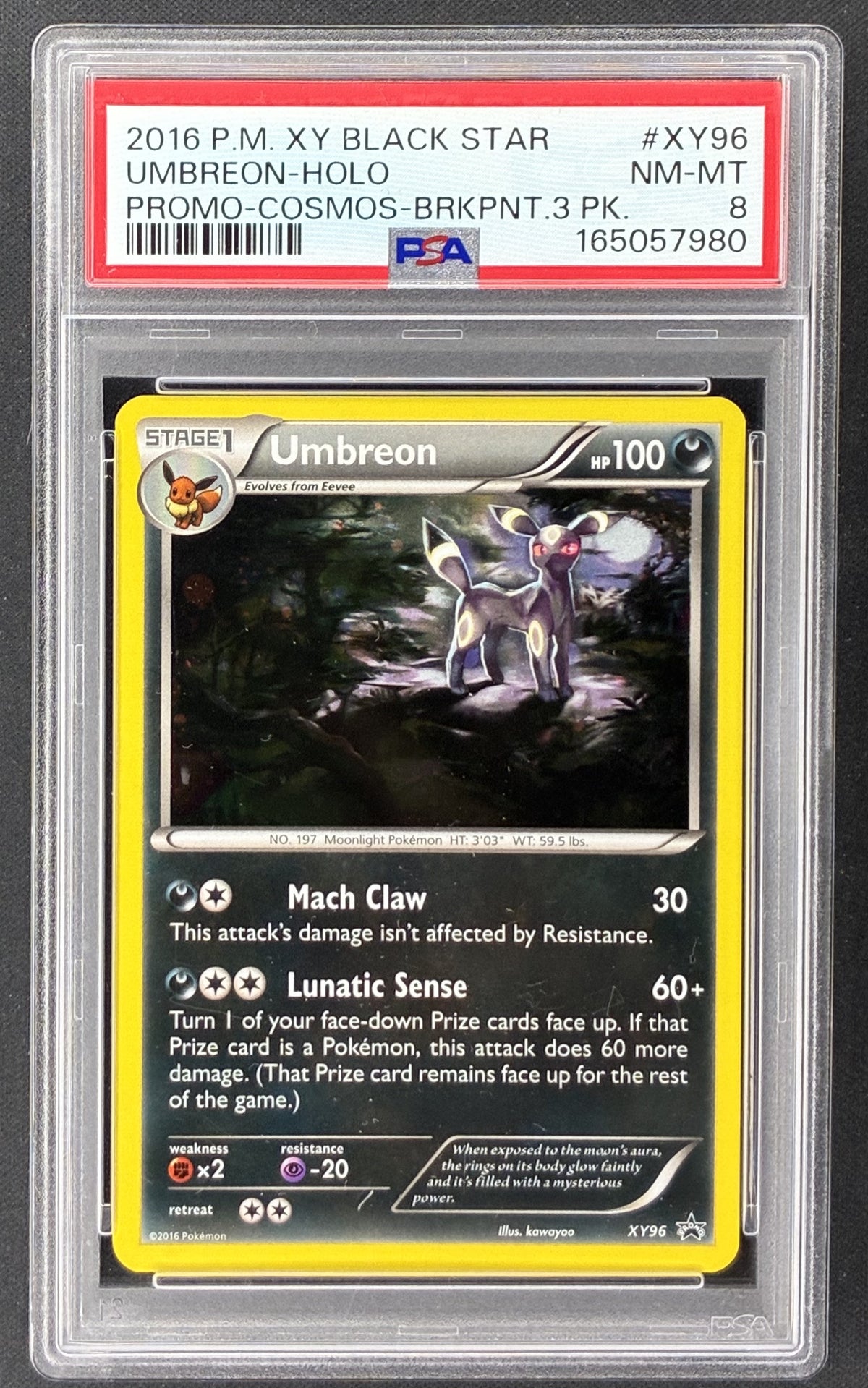 2016 Pokémon Umbreon XY96 XY Black Star Promo Holo PSA 8 NM-MT graded card.