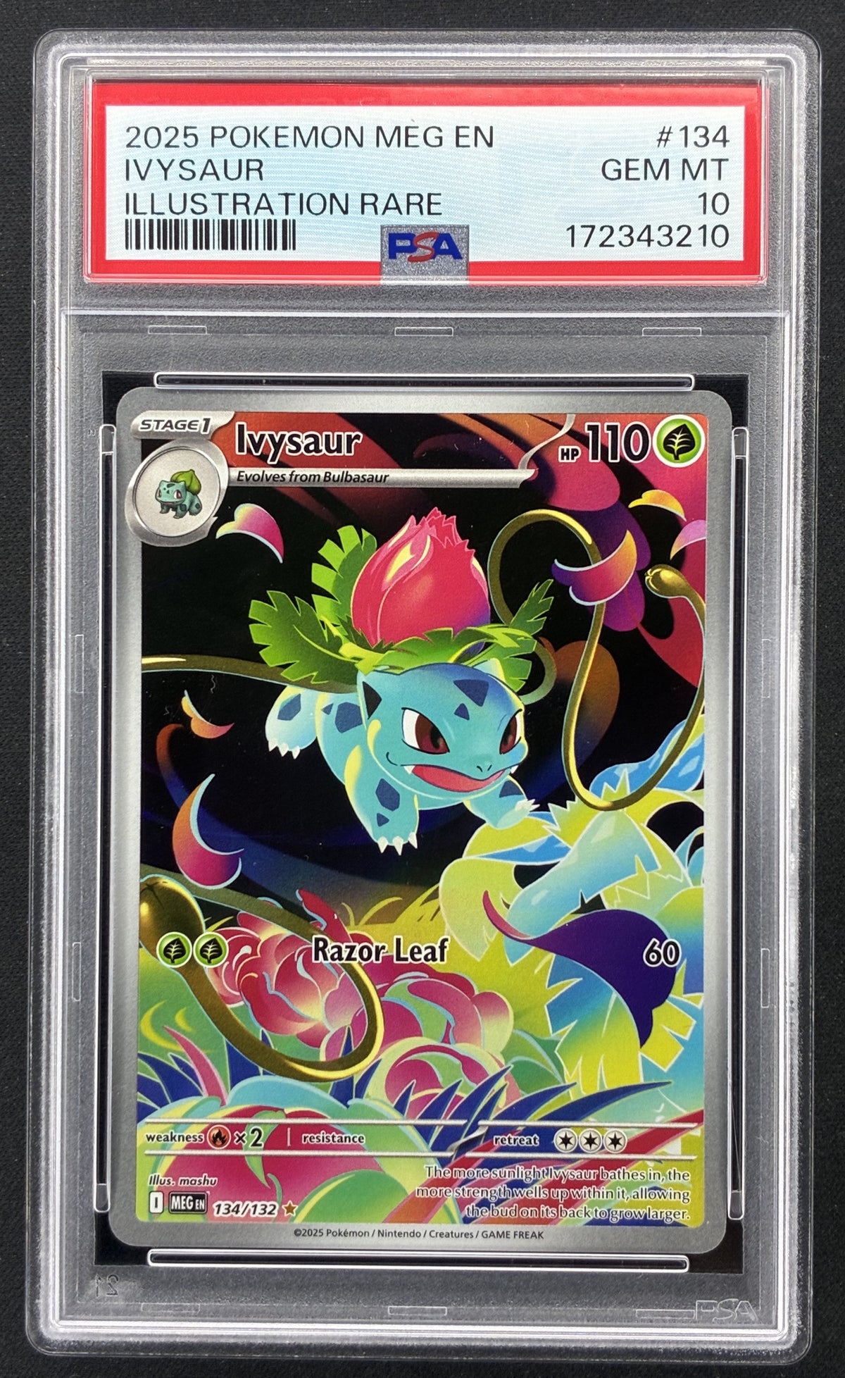 Pokémon Mega Evolution Ivysaur 134/132 Illustration Rare PSA 10 Gem Mint.