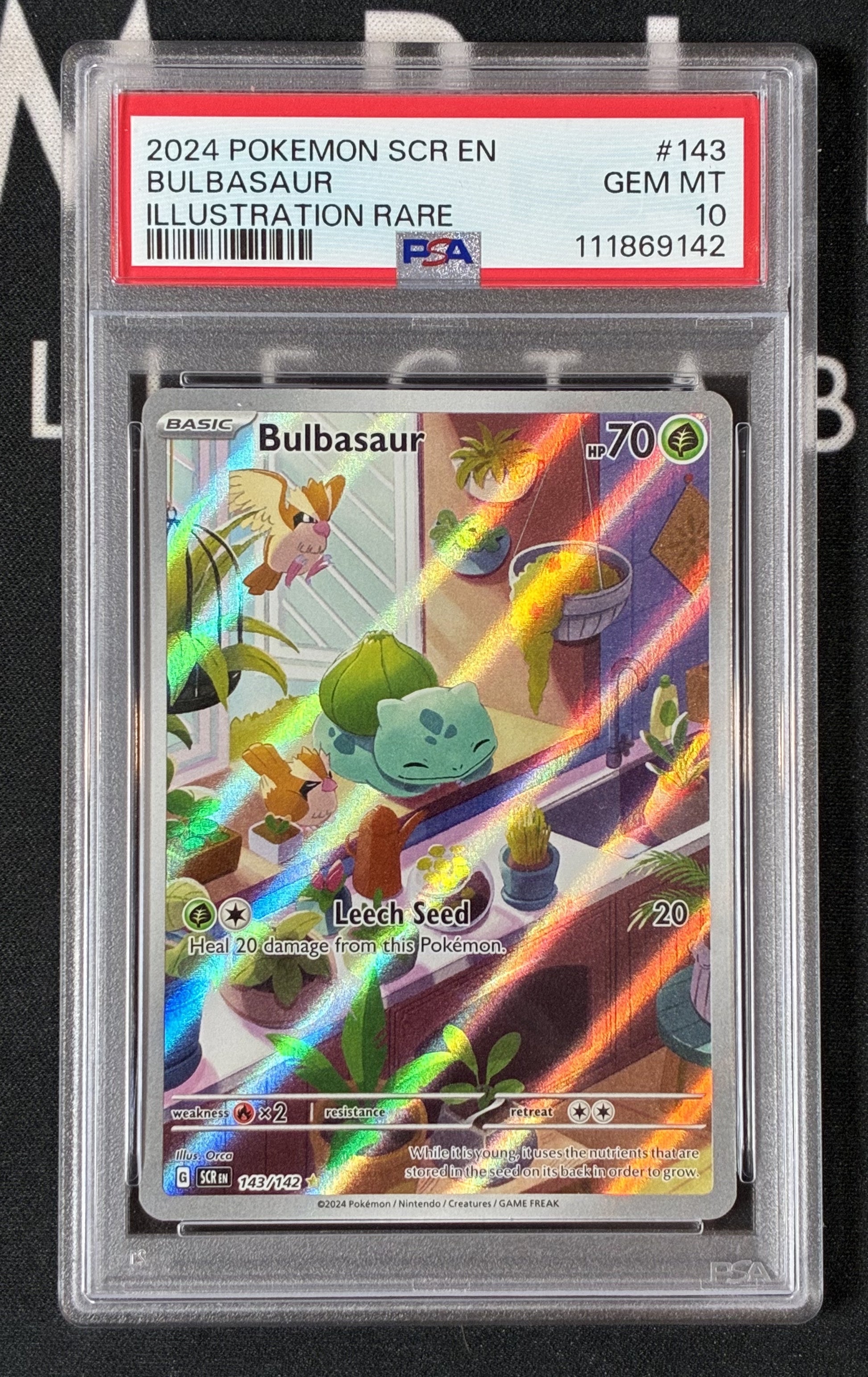 Bulbasaur 143/142 PSA 10 GEM MINT Illustration Rare Stellar Crown Pokmon Urban Empire Collectables AU Bulbasaur 143/142 PSA 10 GEM MINT Illustration Rare Stellar Crown Pokmon Urban Empire Collectables AU