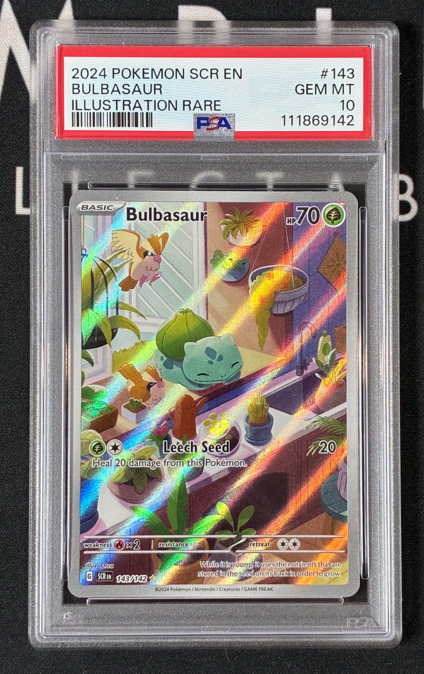 Bulbasaur 143/142 Stellar Crown Illustration Rare Pokémon Card – PSA 10 GEM MINT