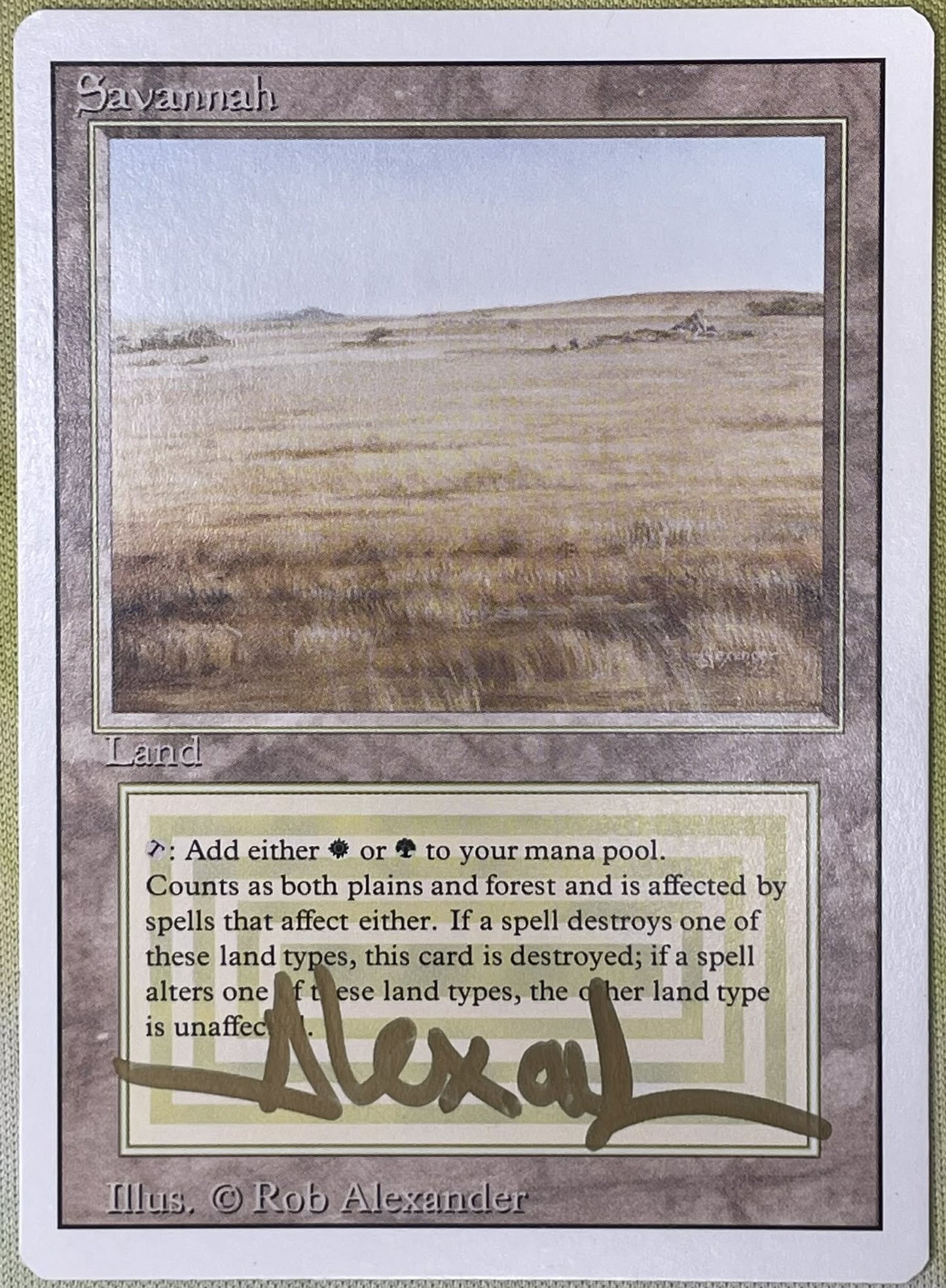 Savannah dual land from Revised Edition (3ED) signed by artist Rob Alexander for Magic: The Gathering.