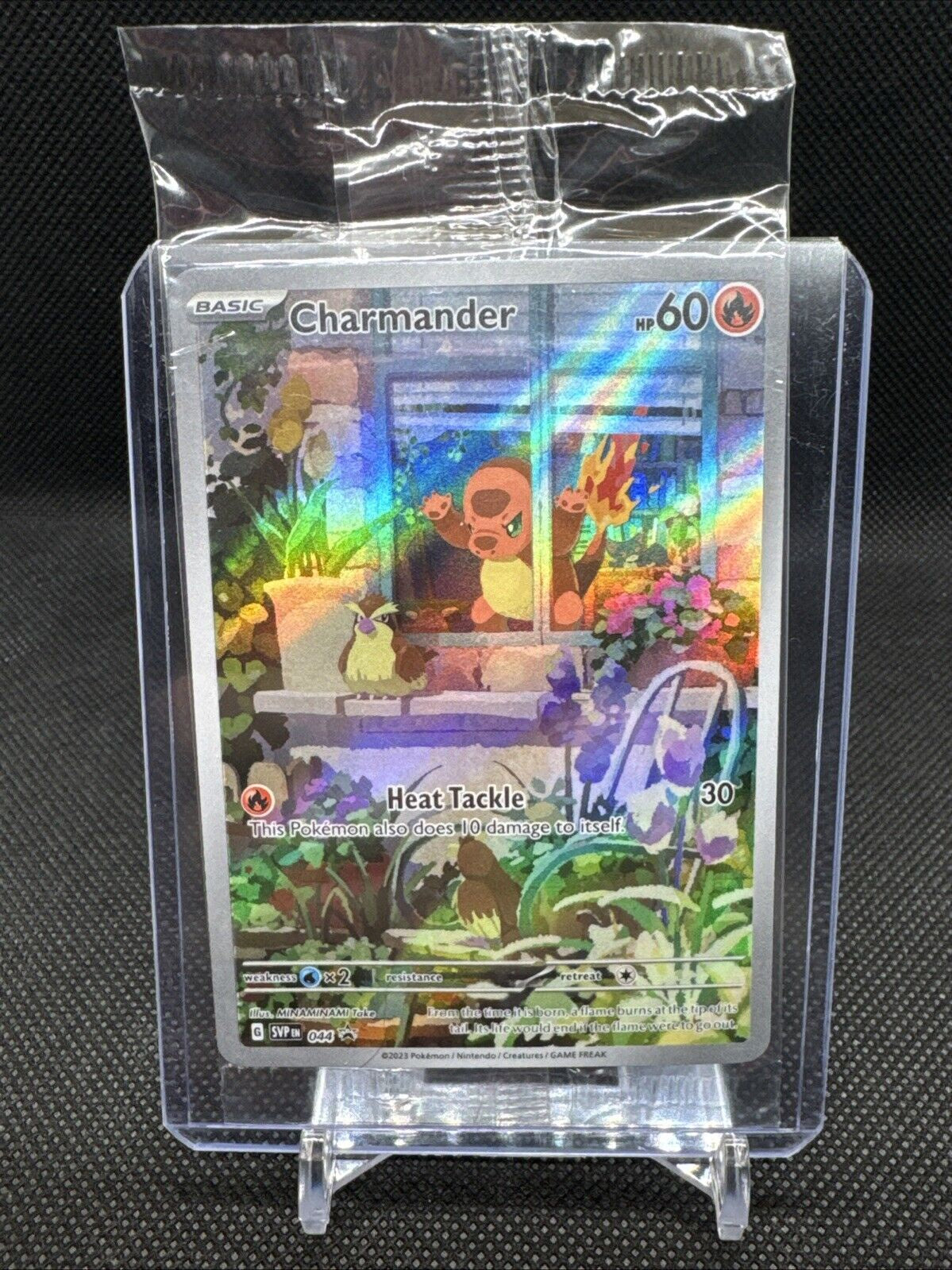 Pokémon Charmander Promo Holo SVP044 Sealed Obsidian Flames Card